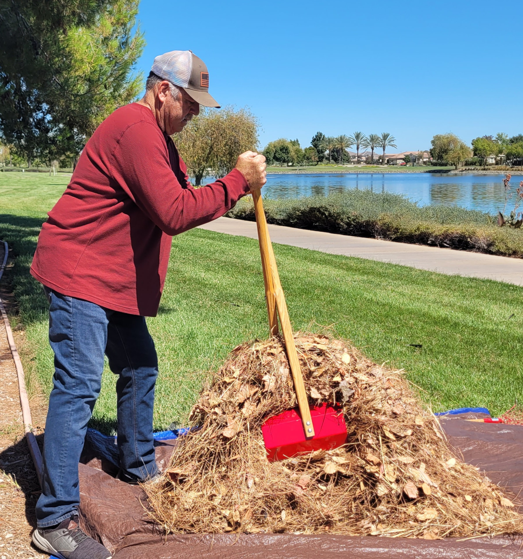 Scooping a pile of pine needles and leaves with the TerraBOSS
